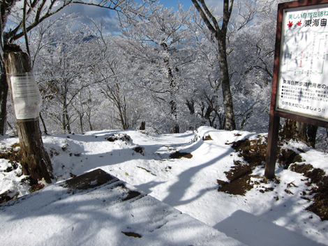 20191129hike (170)